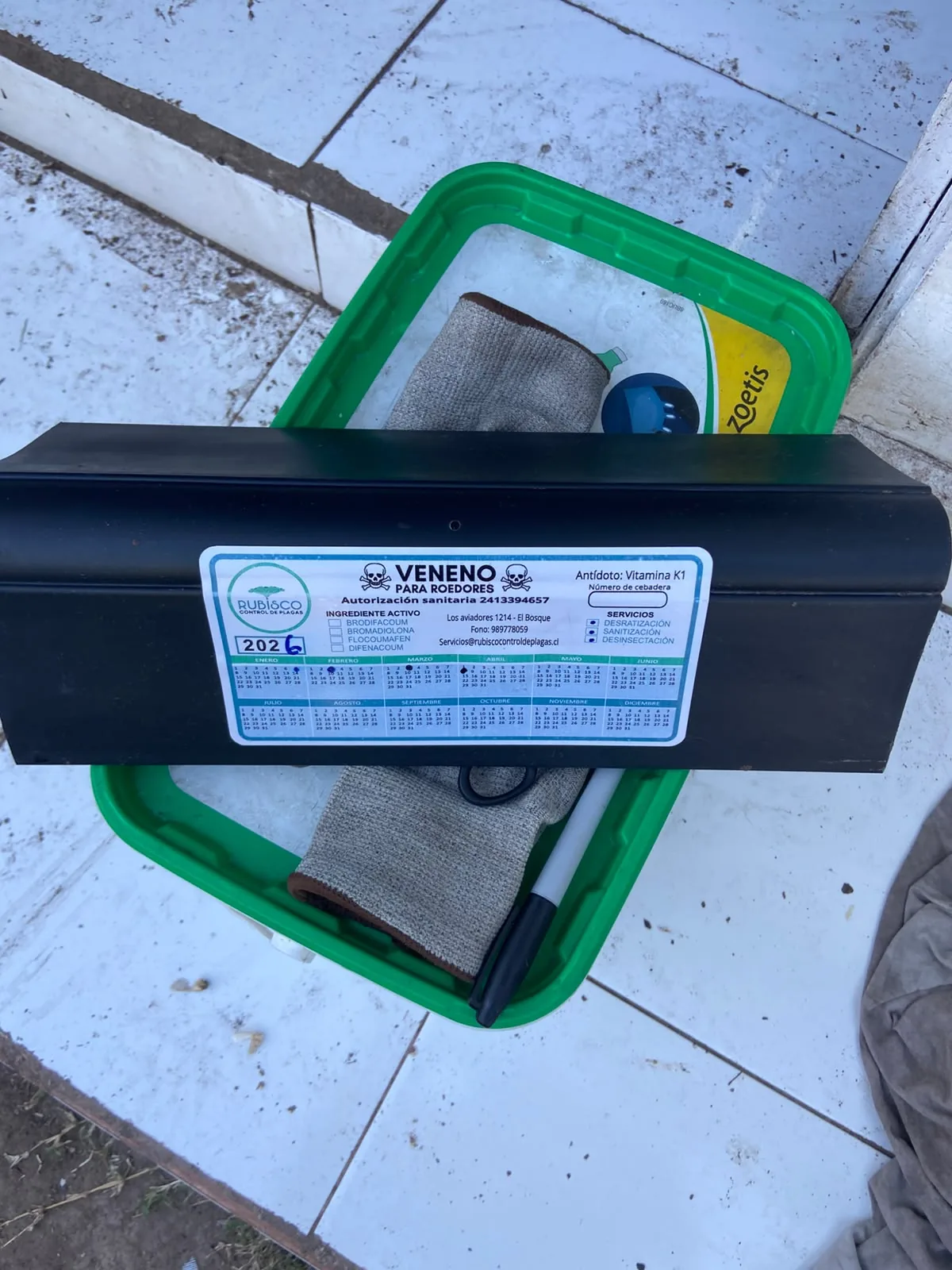 Control preventivo de roedores