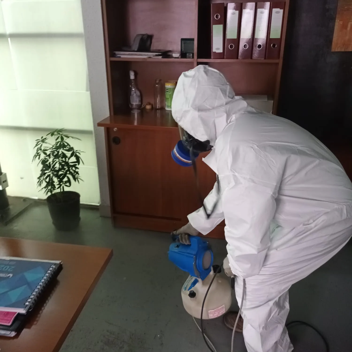 Servicio profesional de Rubisco Control de Plagas